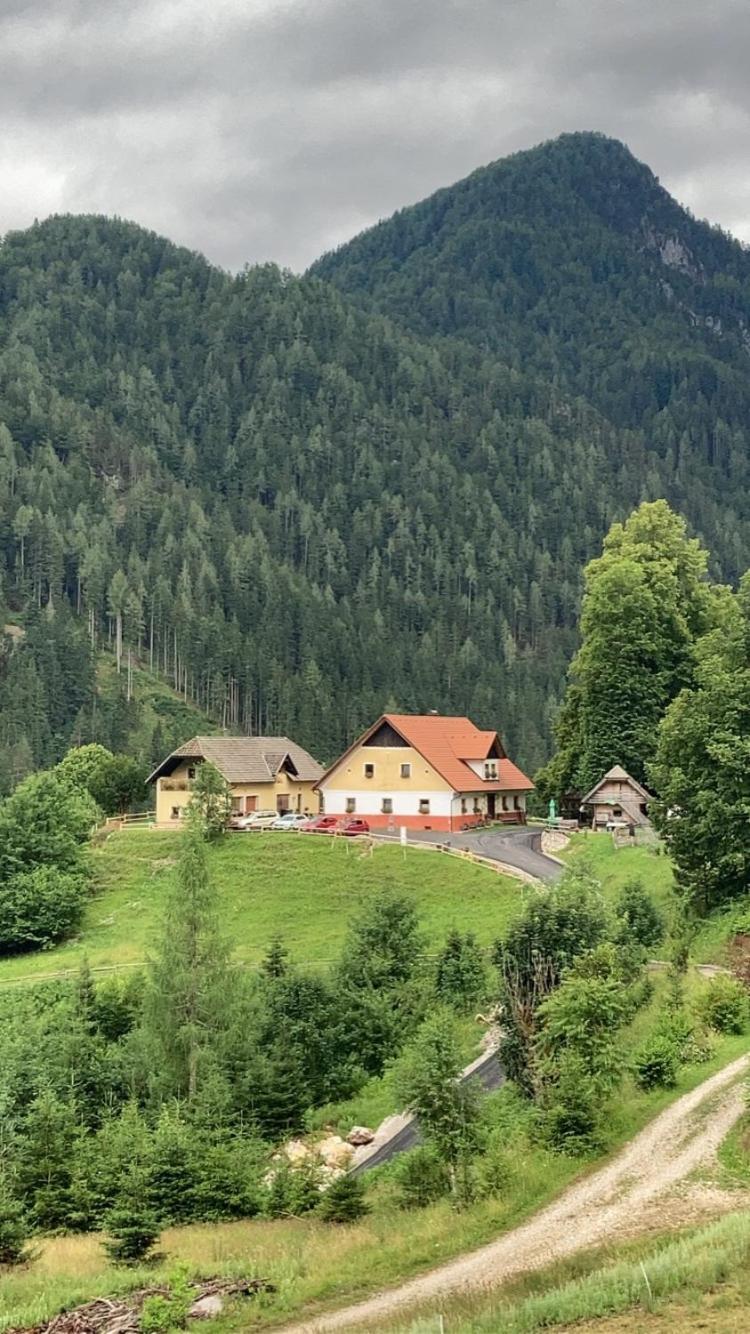 Tourist Farm Gradisnik Daire Solčava Dış mekan fotoğraf