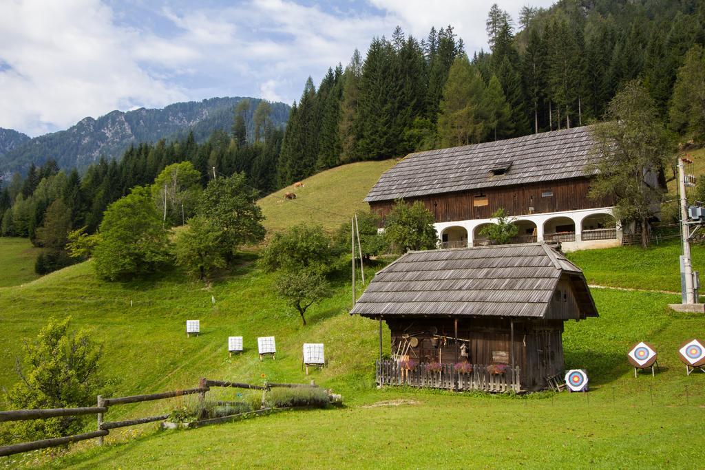 Tourist Farm Gradisnik Daire Solčava Dış mekan fotoğraf