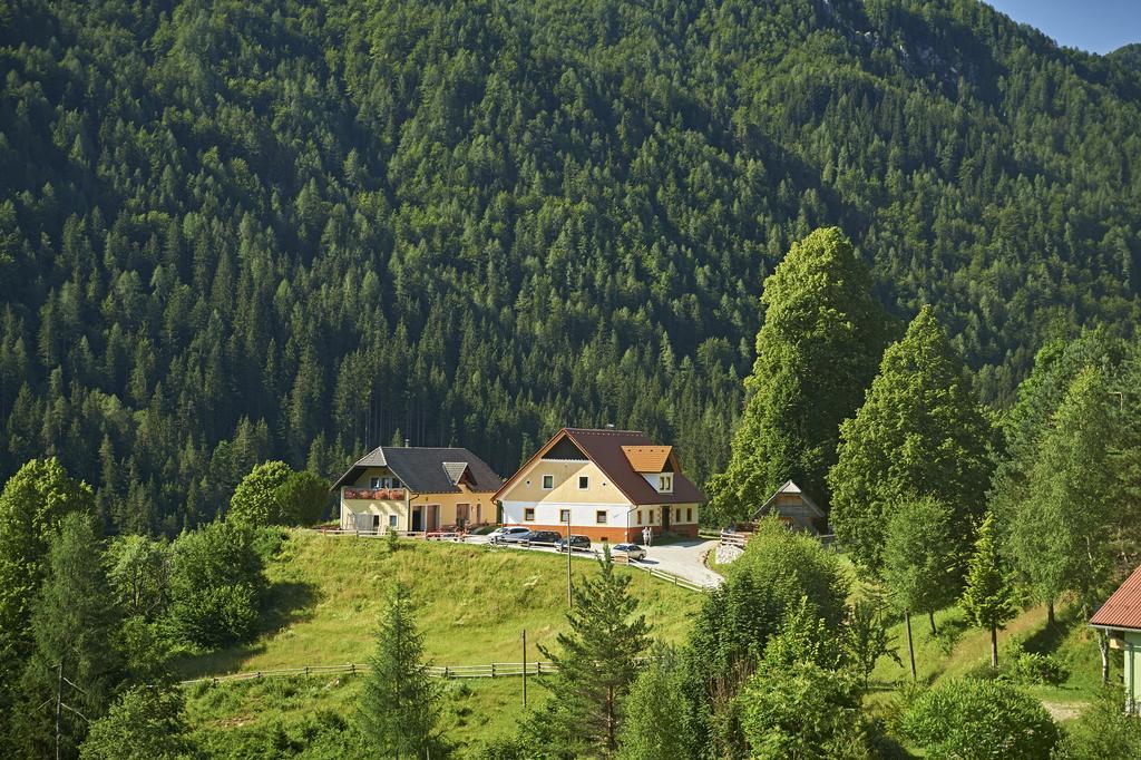Tourist Farm Gradisnik Daire Solčava Dış mekan fotoğraf