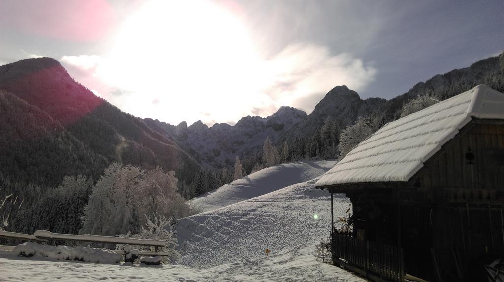 Tourist Farm Gradisnik Daire Solčava Dış mekan fotoğraf