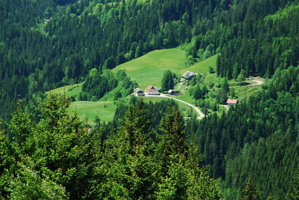 Tourist Farm Gradisnik Daire Solčava Dış mekan fotoğraf